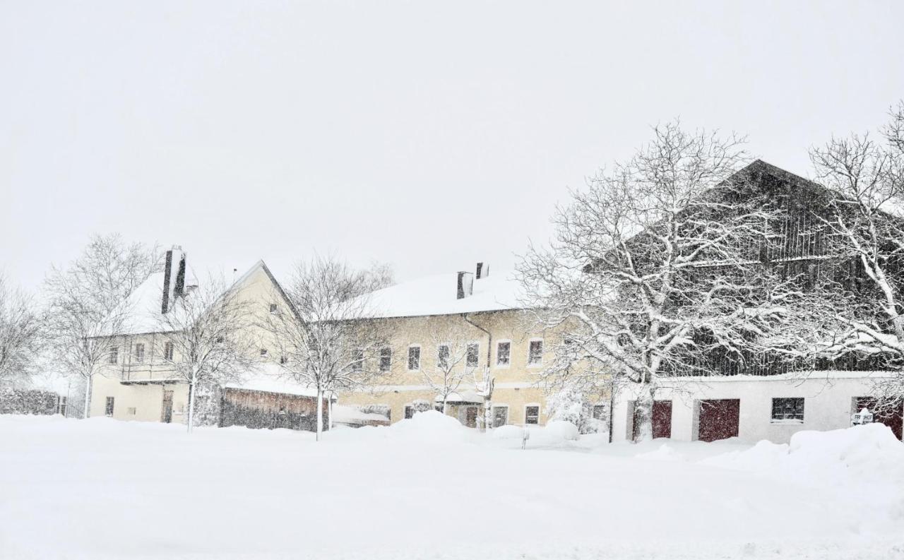 Zuhaeusl Am Chiemsee Appartements Breitbrunn am Chiemsee Exterior photo